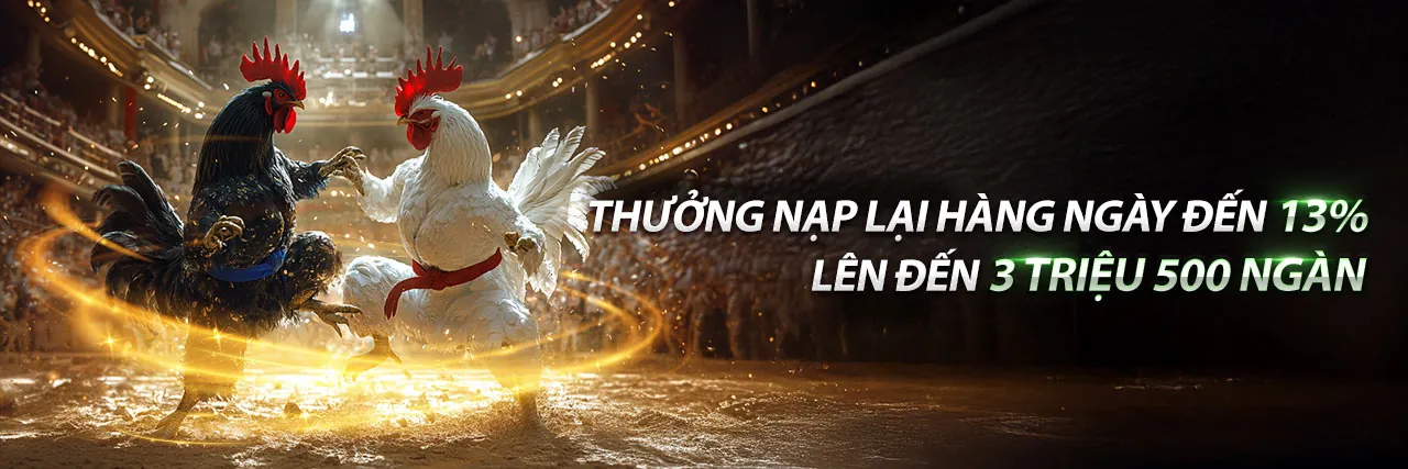Đá Gà f088 - Trận đấu kịch tính